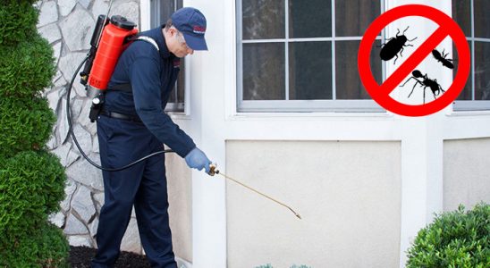 Polatlı Fare İlaçlama böcek ilaçlama ve haşere kontrolü — ilaclama-tr.com